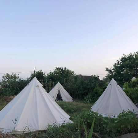 Danube Delta Hostel Homestay & Camping Sulina Exterior photo