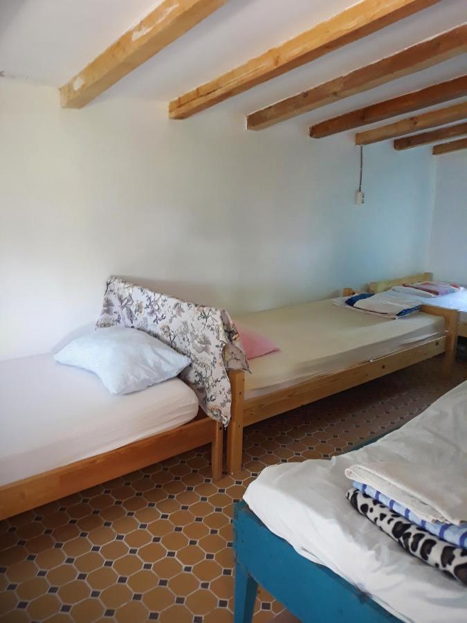Danube Delta Hostel Homestay & Camping Sulina Exterior photo